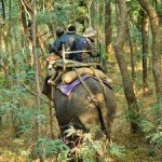 Chandigarh Rajaji National Park weekend Tour 2N/3D